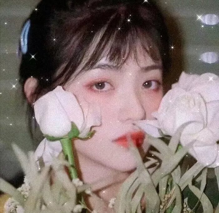 美人心蛊